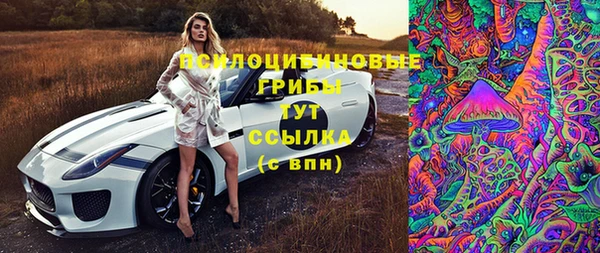 стаф Медногорск