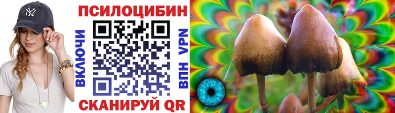 наркота  Темников  блэк спрут tor  Галлюциногенные грибы Psilocybe 